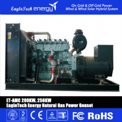 Gas Power Genset (200KW-250KW)